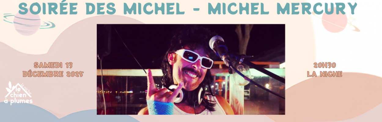 Soirée des Michel - MICHEL MERCURY (2)