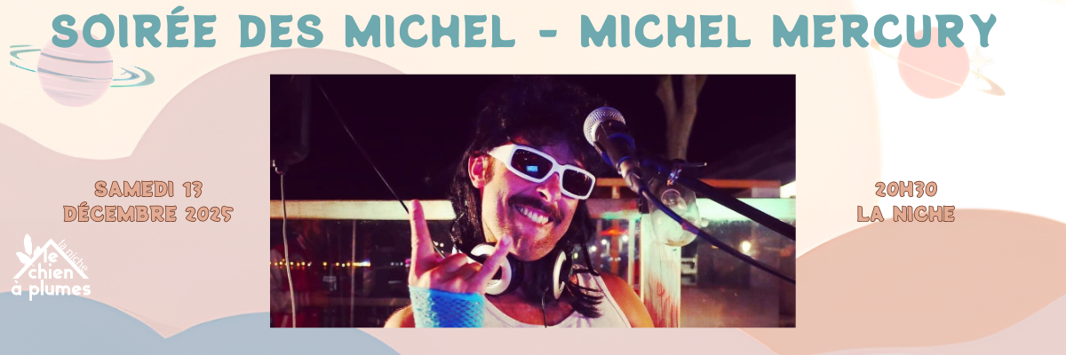 Soirée des Michel - MICHEL MERCURY (2)